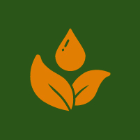 Safe & Natural