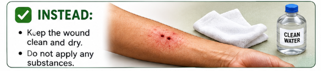Keep the wound clean and dry